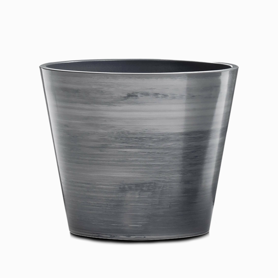  Cone  31 