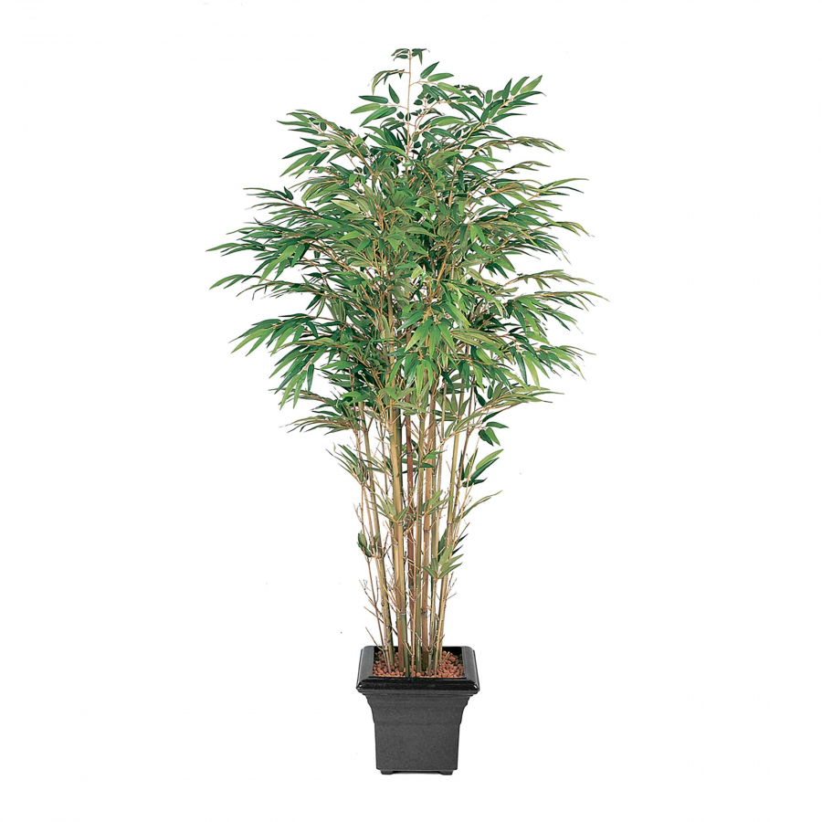 Бамбук натуральный 150 см