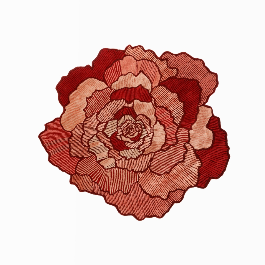  Orange Fawn 180180