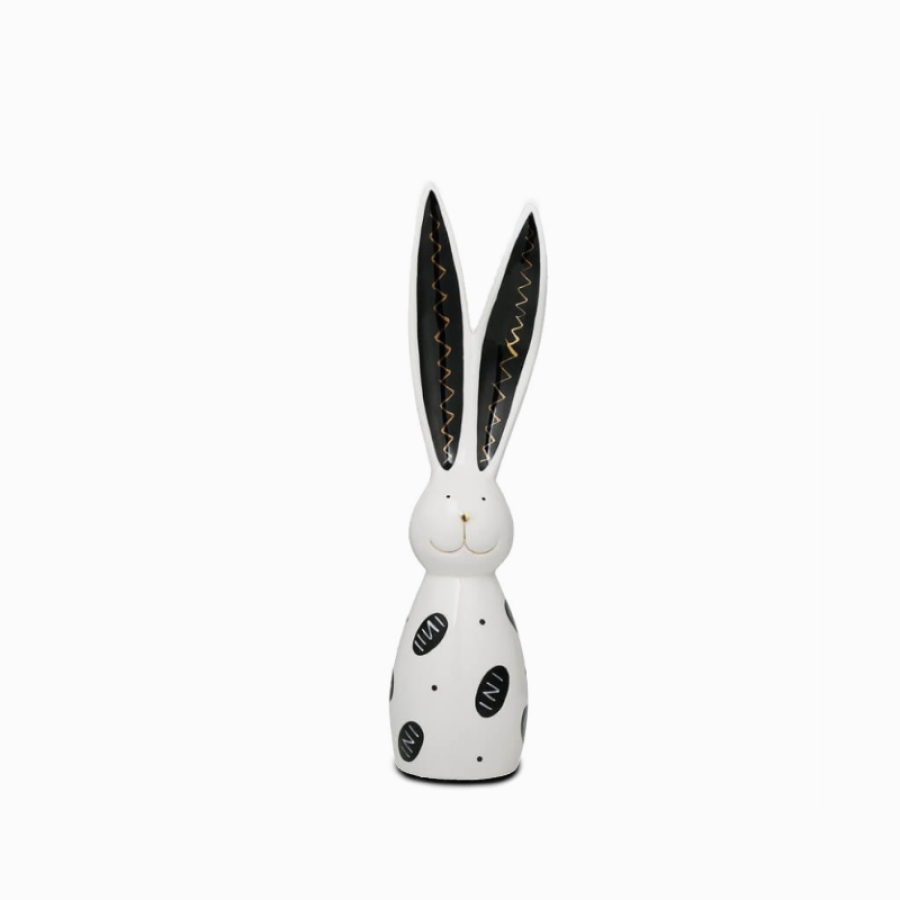  Long ear rabbit black