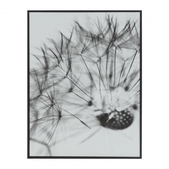 Картина Small Calantha одуванчик 40x30