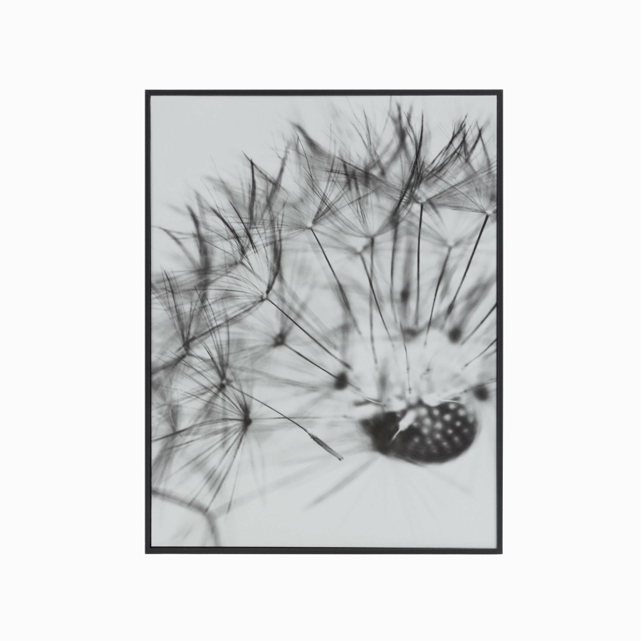Картина Small Calantha одуванчик 40x30